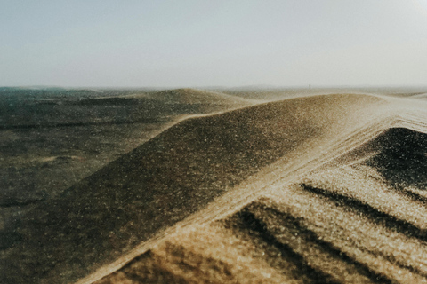 Doha: Desert Safari, Dune Bashing, Sandboarding & Salt lake