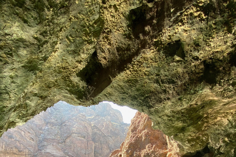 Plage de Willow : Location de paddle board