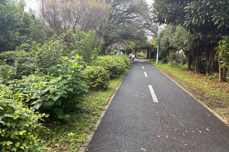 Tokyo: Lake Tama E-Bike Tour with Matcha Break