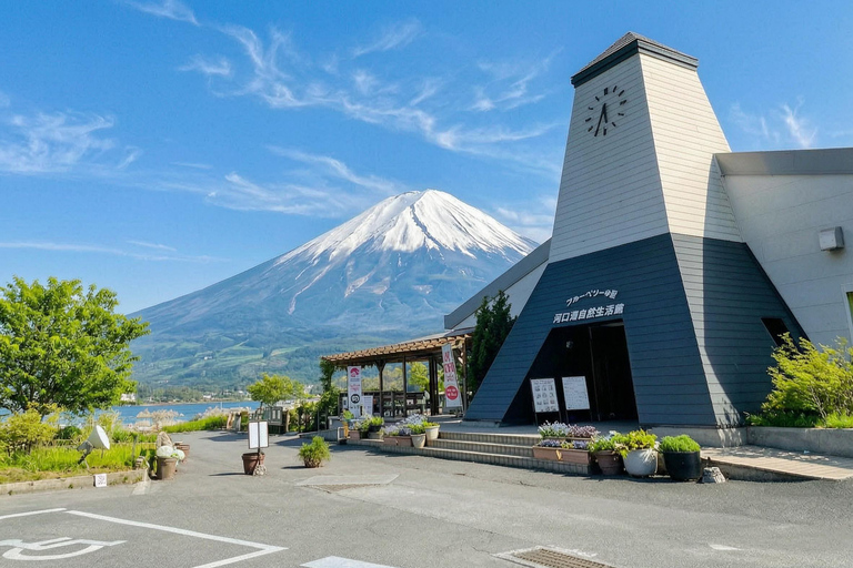 Tokyo: Mt Fuji & Oishi Park, Oshino Hakkai, Chureito Pagoda Free Karaage Chicken Set | Tokyo Station 8:00AM
