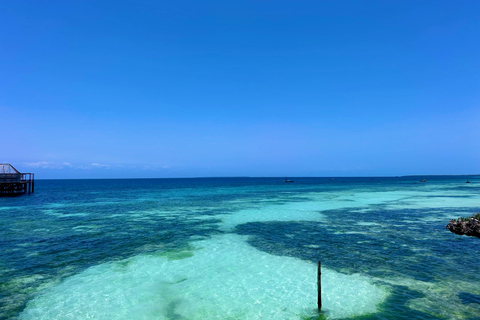 Zanzíbar: Excursión de Observación de Delfines y Snorkel en Kizimkazi