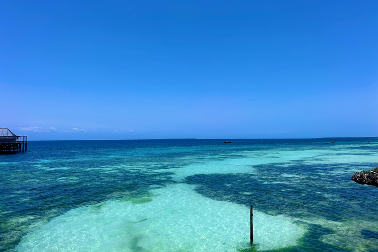 Zanzíbar: Excursión de Observación de Delfines y Snorkel en Kizimkazi