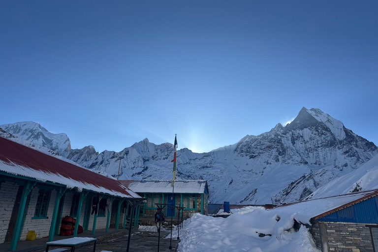 Pokhara: 7-Day Annapurna Base Camp Trek with Guide