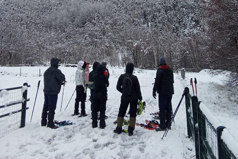 Cerdanya: Snowshoe tour through the forests and lakes of the Pyrenees