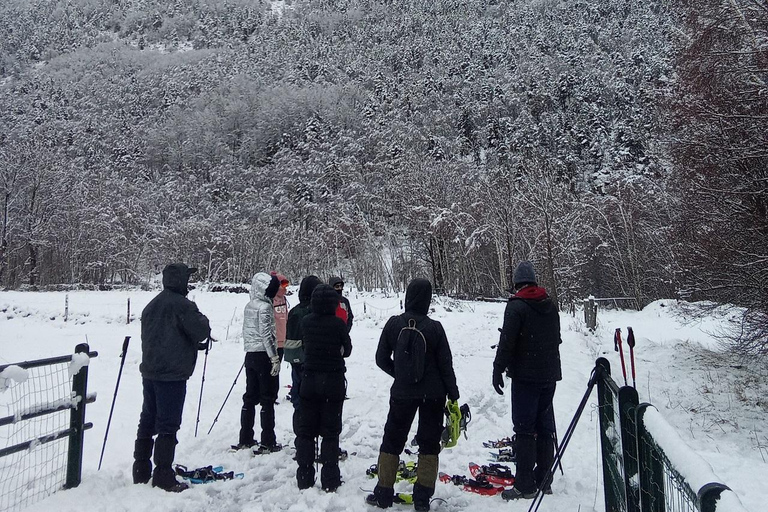 Cerdanya: Snowshoe tour through the forests and lakes of the Pyrenees