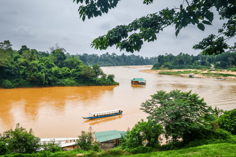 De Kuala Lumpur: Tour particular pelo Parque Nacional Taman Negara