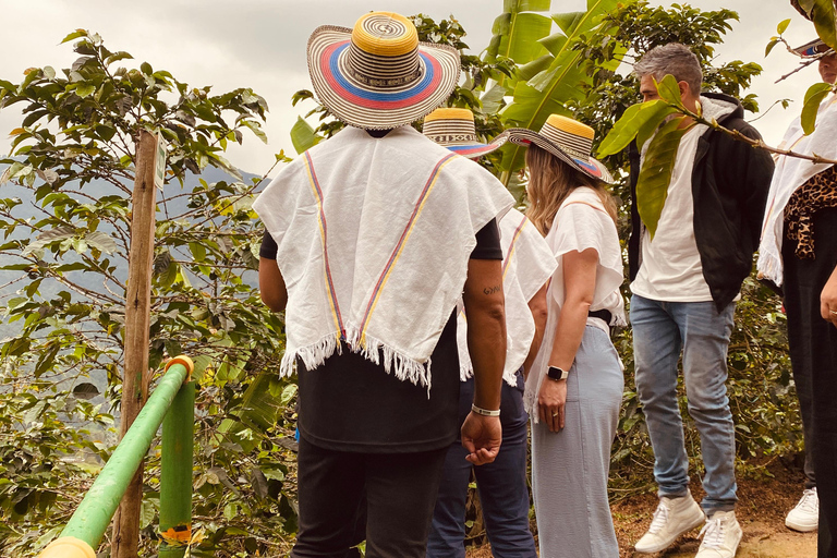 The Incredible Coffee Experience: Secrets of Medellín The Incredible Coffee Experience: Secrets of Medellin