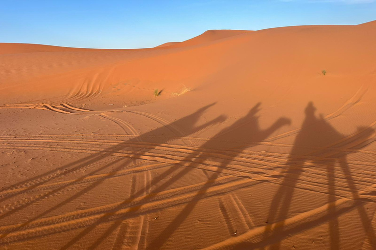 Marrakesh: Sahara Desert Tour From Marrakech 3D2N & Glamping Private Luxury Tour