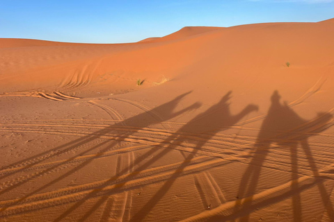 Marrakesh: Sahara Desert Tour From Marrakech 3D2N & Glamping Private Luxury Tour