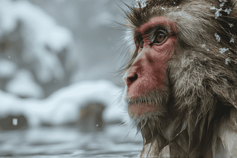 The best Matsumoto Hot springs 2026 - Free cancellation | GetYourGuide