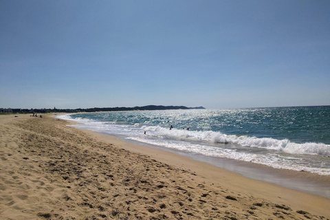 Ponta de Ouro Tagestour