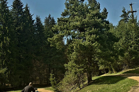 Poiana Brasov: Guided ATV Ride Through Mountain Forest