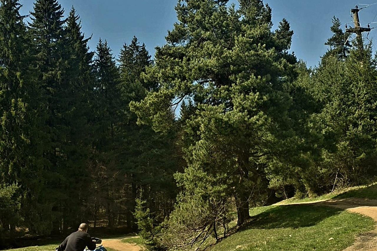 Poiana Brasov: Guided ATV Ride Through Mountain Forest