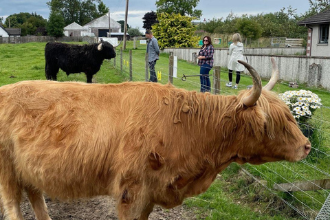 Inverness: Full-Day Guided Tour with Highland Castle