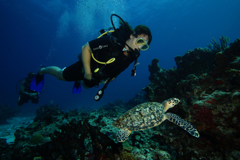 CANCUN: 2T RIF DUIKEN VOOR GEBREVETTEERDE DUIKERS