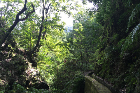 Madeira: Excursión a la Levada do Caldeirão Verde con servicio de recogida local