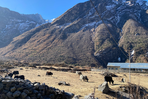 From Kathmandu: 10-Day Langtang Valley Trek