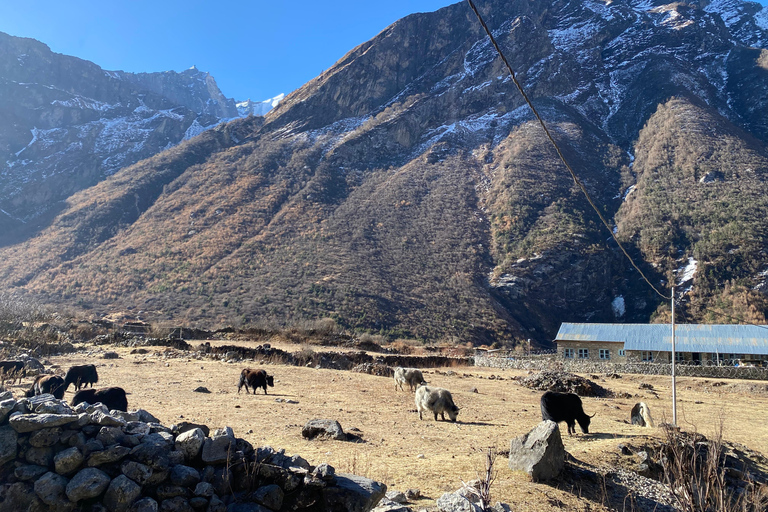 From Kathmandu: 10-Day Langtang Valley Trek