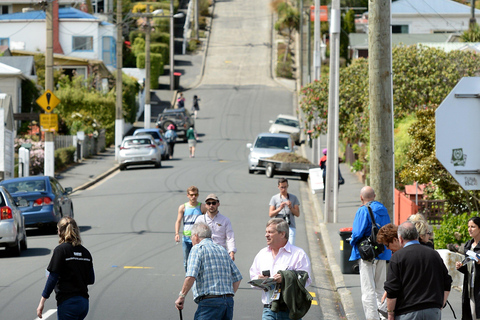 Dunedin City & Otago Peninsula Scenery Day Tour Private Tour