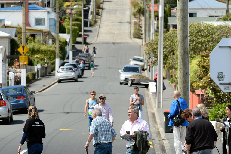 Dunedin City & Otago Peninsula Scenery Day Tour Private Tour