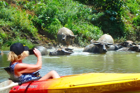 Chiang Mai: 25 km di tempo libero in mountain bike e kayak nella giunglaDa Chiang Mai: tour in bici e kayak