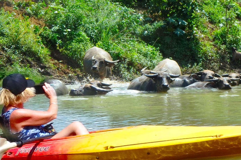 Chiang Mai: 25 km di tempo libero in mountain bike e kayak nella giunglaDa Chiang Mai: tour in bici e kayak