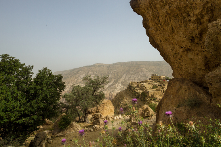 Au départ d&#039;Aqaba : Excursion privée d&#039;une journée dans la réserve naturelle de Dana avec déjeuner