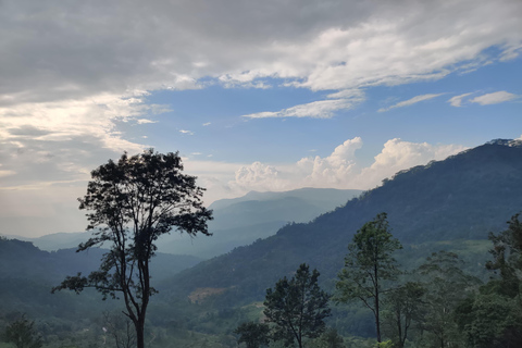 Thangappuwa Falls: Explore One of Knuckles’ 7 Cascades