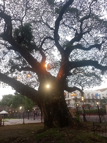 Manila: Intramuros Tour ( Dark)