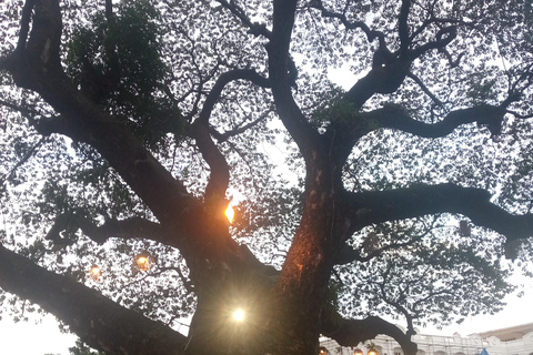 Manila: Recorrido por Intramuros ( Oscuro)