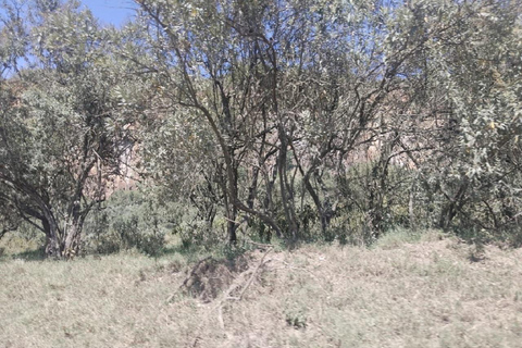 Day Trip: Hells Gate and optional Boat Ride at Lake Naivasha Hells Gate and Boat Ride at Lake Naivasha without entry fee