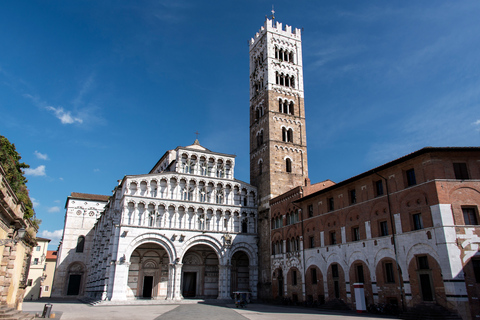 Pisa en Lucca: privétour van een hele dag per Deluxe Van