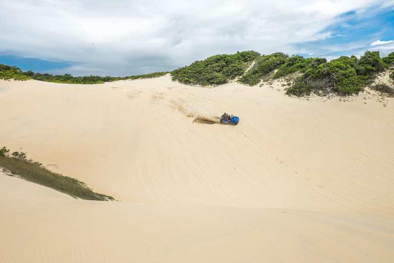 From Natal: Genipabu Dunes Buggy Adventure