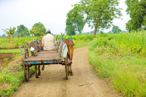 1 TAG Sigiriya, Dambulla, und Dorf Tour