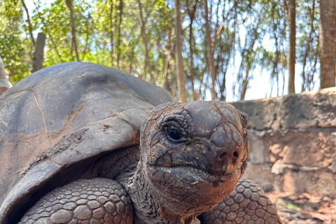 Viaje a la isla de la prisión