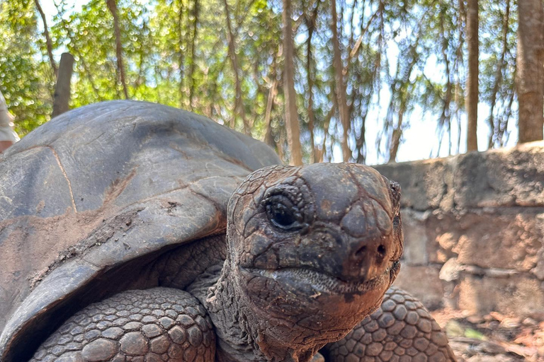 Viagem à ilha-prisão