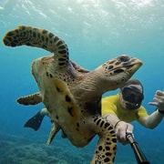Lembongan: Manta Bay, Turtle Bay, & Gamat Bay Snorkeling