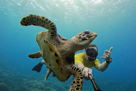 Lembongan: Manta Bay, Turtle Bay, & Gamat Bay Snorkeling