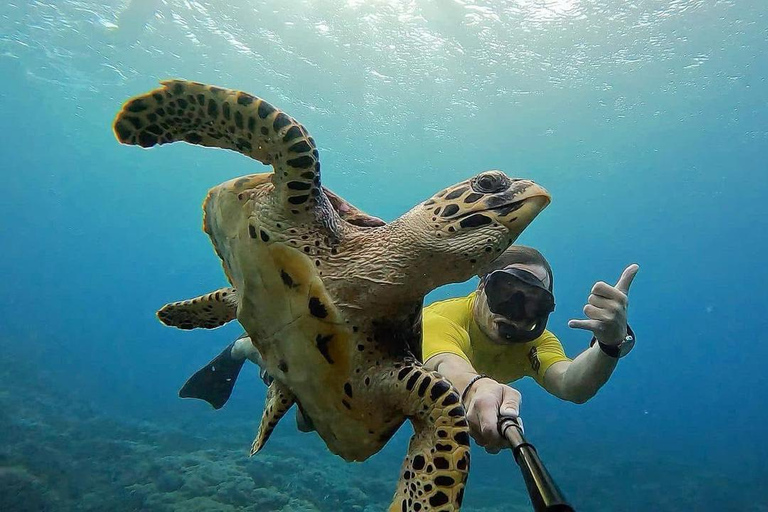 Lembongan: Manta Bay, Turtle Bay, & Gamat Bay Snorkeling