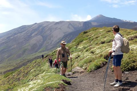 Viagem de 1 dia ao Etna saindo de Siracusa. Caminhada, vinho e comida incluídos