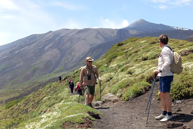 Etna dagsutflykt från Siracusa. Vandring, vin och mat ingår