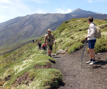 Da Siracusa: Tour dell'Etna - trekking, vino e cibo