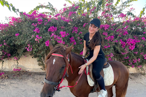 Djerba: Individual Horse Riding in the Blue Lagoon.