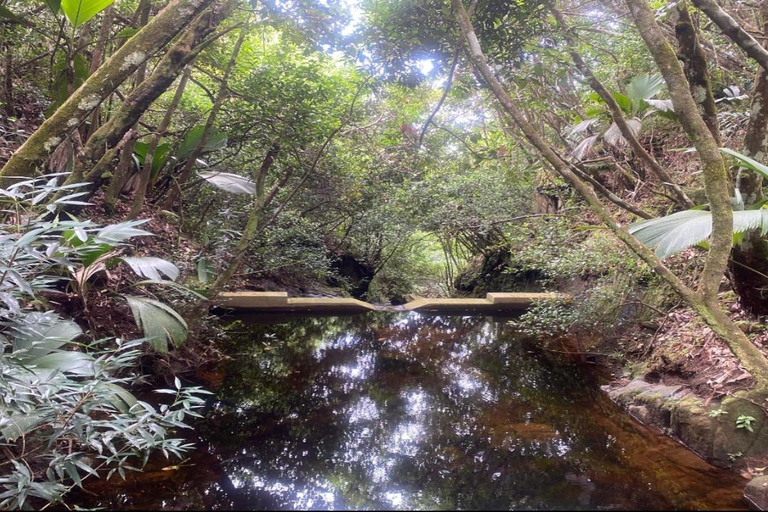 Mare Aux Cochon (Private Hiking Activity) - All Inclusive