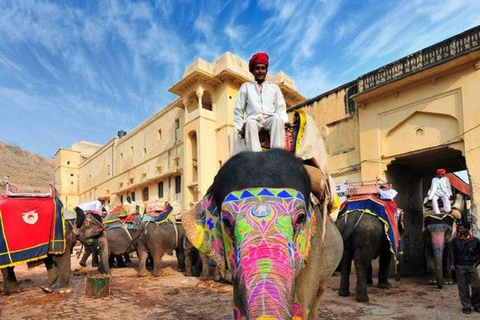 Jaipur: Full Day Sightseeing Tour by Car With Guide Car with Driver and Tour Guide