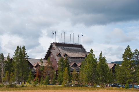 Yellowstone Tours from Jackson Hole | Wildlife & Scenic