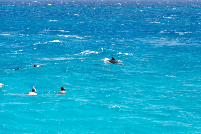 Au départ de Safaga, excursion en mer pour observer les dauphins avec déjeuner et boissons.