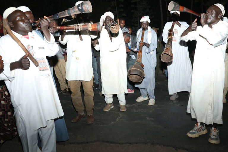 Addis Ababa: Jazz Bar Tour with Live Music and Dinner