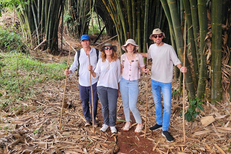 Nairobi:Gatura Greens Farm - Organic Farming & Culinary Tour