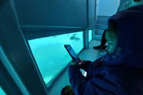 Swim in a Paradise Cove & Enjoy an Amazing Underwater View From Santa Margarita